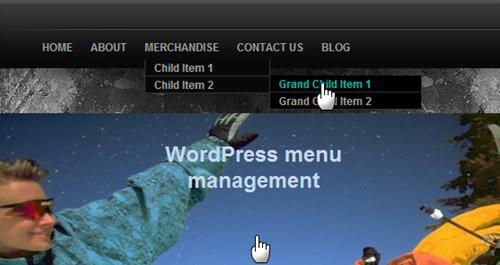 Multiple Navigation menus using WordPress