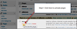 step1-activate akismet plugin on wordpress step1-activate akismet plugin on wordpress