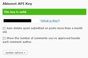 step3-API key Valid akismet plugin on wordpress step3-API key Valid akismet plugin on wordpress