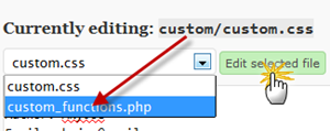 Edit Custom Functions Thesis