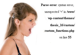 Thesis Custom Function error