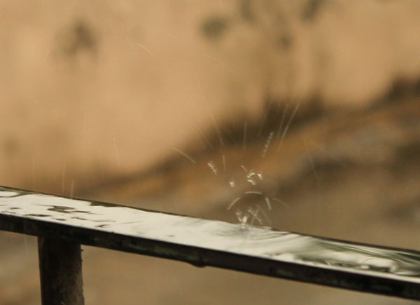 rain-drop-summer-2011